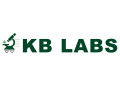 KB Labs