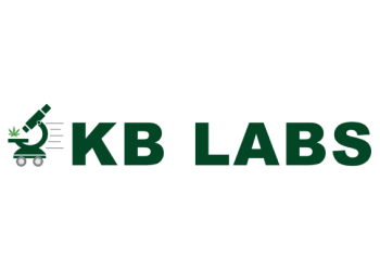 KB Labs