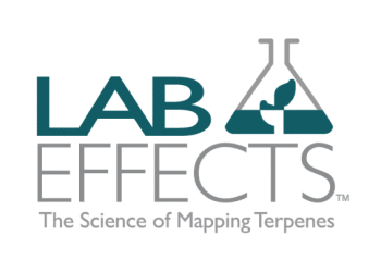 Lab Effects logo on a transparent background, PNG