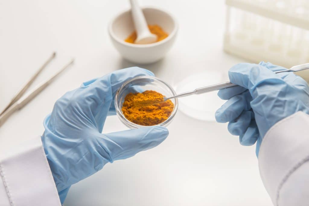 Medicine research of curcuma properties with the help of laboratory equipment, man in gloves testing turmeric powder