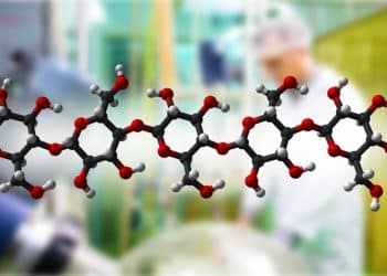 Microwave extraction equipment processing plant materials into antioxidant polysaccharide powders