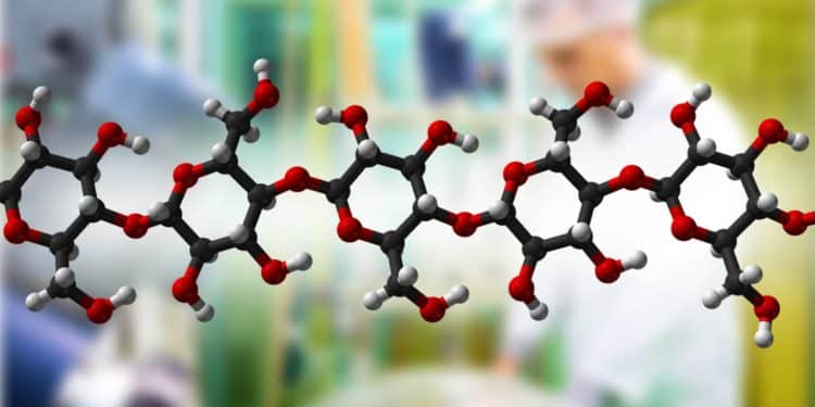 Microwave extraction equipment processing plant materials into antioxidant polysaccharide powders