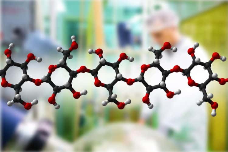 Microwave extraction equipment processing plant materials into antioxidant polysaccharide powders