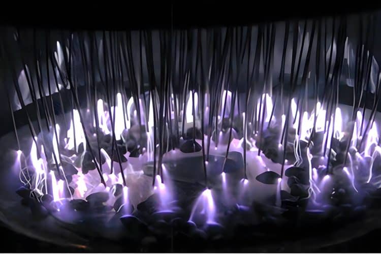 PEF & Cold Plasma Pretreatments Break Efficiency Ceiling in Food and Bioprocessing