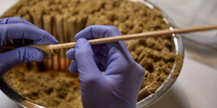 What Cannabis Manufacturers Can Learn from Food Processing