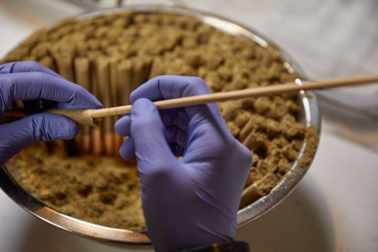 What Cannabis Manufacturers Can Learn from Food Processing