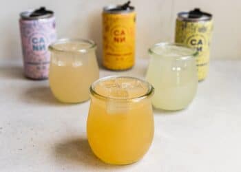 The Future of Cannabis Beverages Under FDA Oversight: Formulation, Labeling, and Manufacturing Challenges