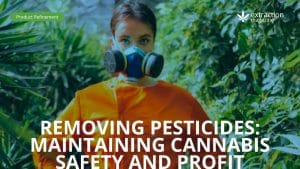 Removing Pesticides: Maintaining Cannabis Safety and Profit