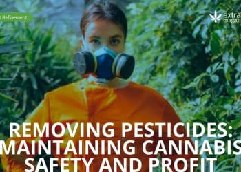 Removing Pesticides: Maintaining Cannabis Safety and Profit