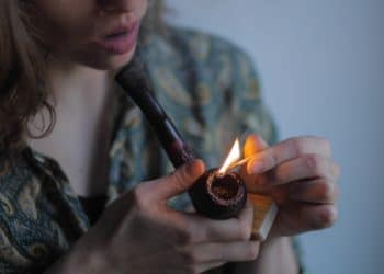 Salvia Divinorum: From the Recreational Use to the Therapeutic Effects