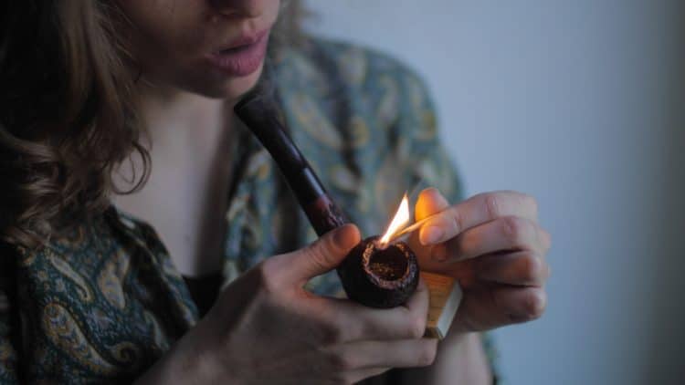 Salvia Divinorum: From the Recreational Use to the Therapeutic Effects