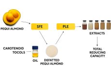 Diagram illustrating a sequential SFE and PLE extraction pipeline processing plant biomass into purified extracts