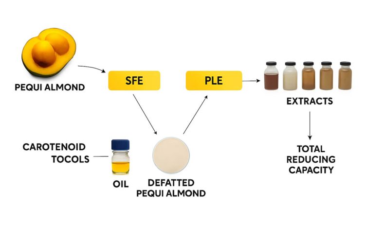 Diagram illustrating a sequential SFE and PLE extraction pipeline processing plant biomass into purified extracts