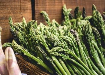 Asparagus prepared for extraction or cooking