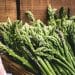 Asparagus prepared for extraction or cooking