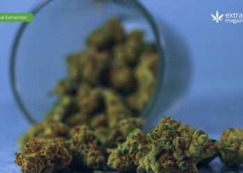 THC Derivatives and Their Creation Process