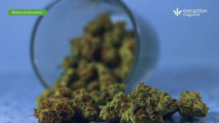 THC Derivatives and Their Creation Process