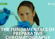 The Fundamentals of Preparative Chromatography