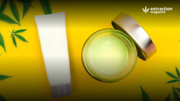 Topical CBD and Its Place in the World of Skin Treatment