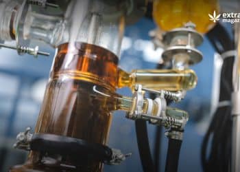 Using enzyme to improve efficiency of mechanical expressed essential oils