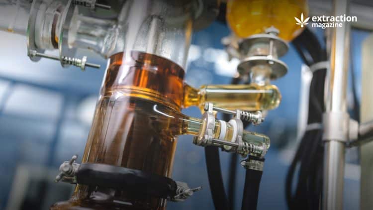 Using enzyme to improve efficiency of mechanical expressed essential oils