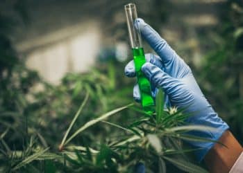 What do Subcritical and Supercritical Refer to