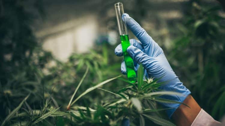 What do Subcritical and Supercritical Refer to