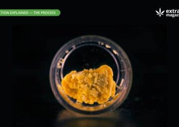 CO2 extraction