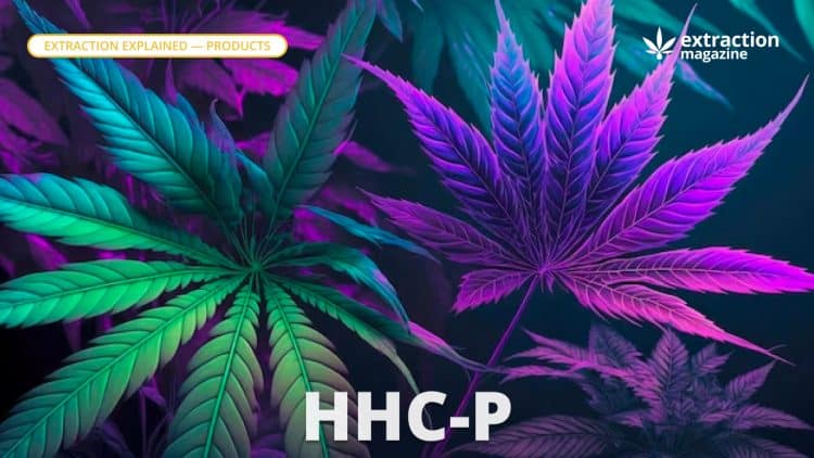 HHC-P