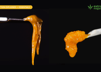 Solvent & Solventless