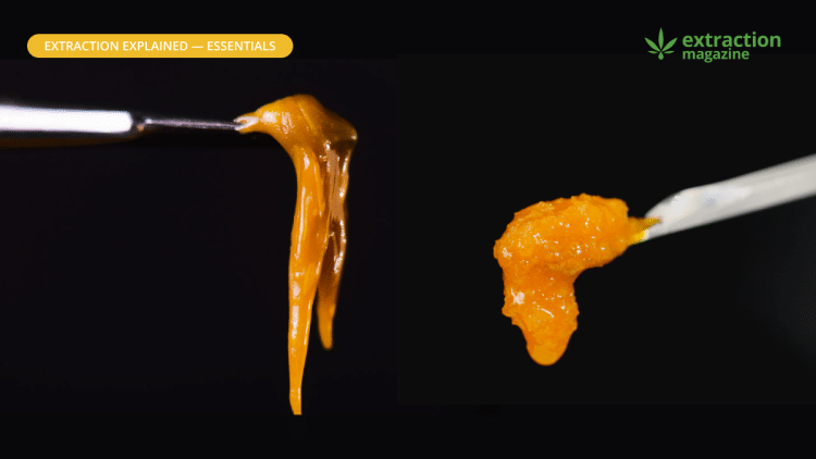 Solvent & Solventless