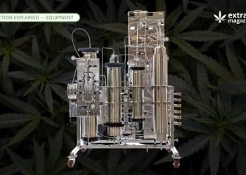 Super-Critical Botanical Extractor