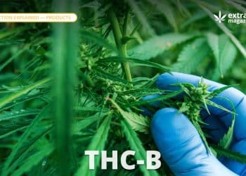 THC-B