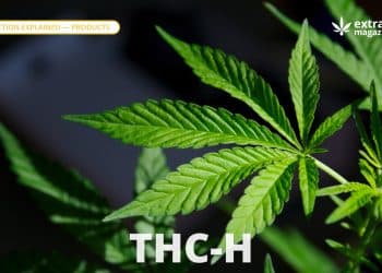 THC-H
