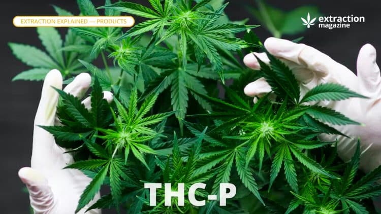 THC-P