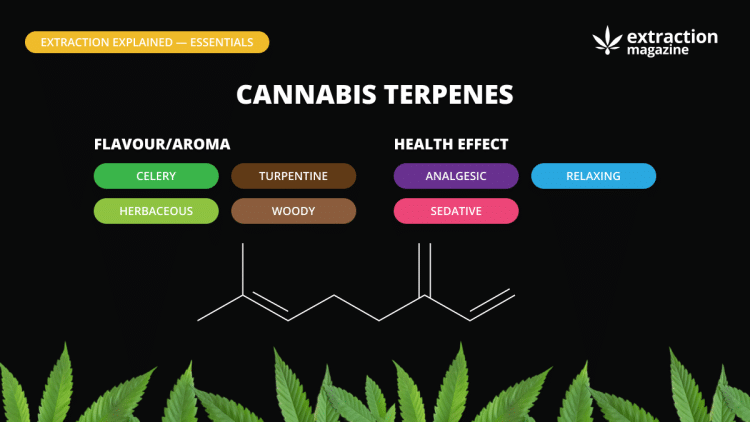 Terpene