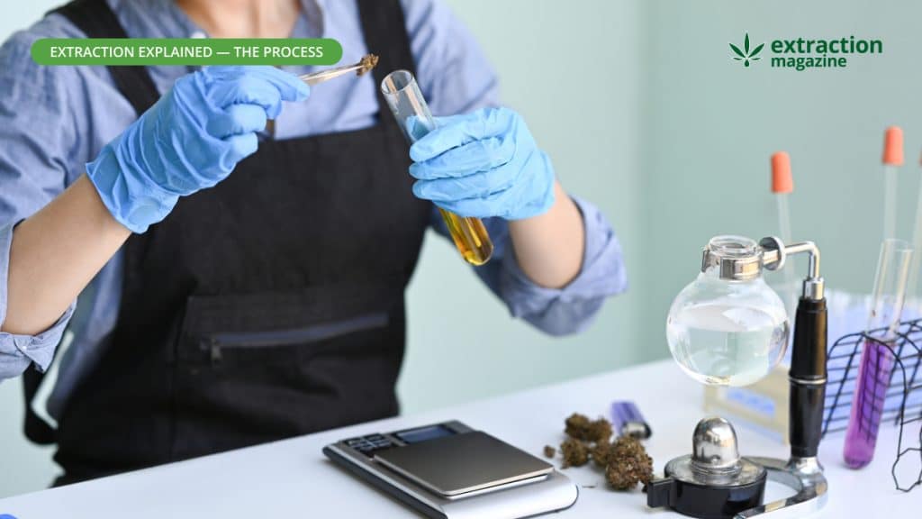 Alcohol Extraction Extraction Magazine