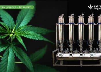 Closed loop extraction system