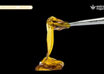 Hash oil