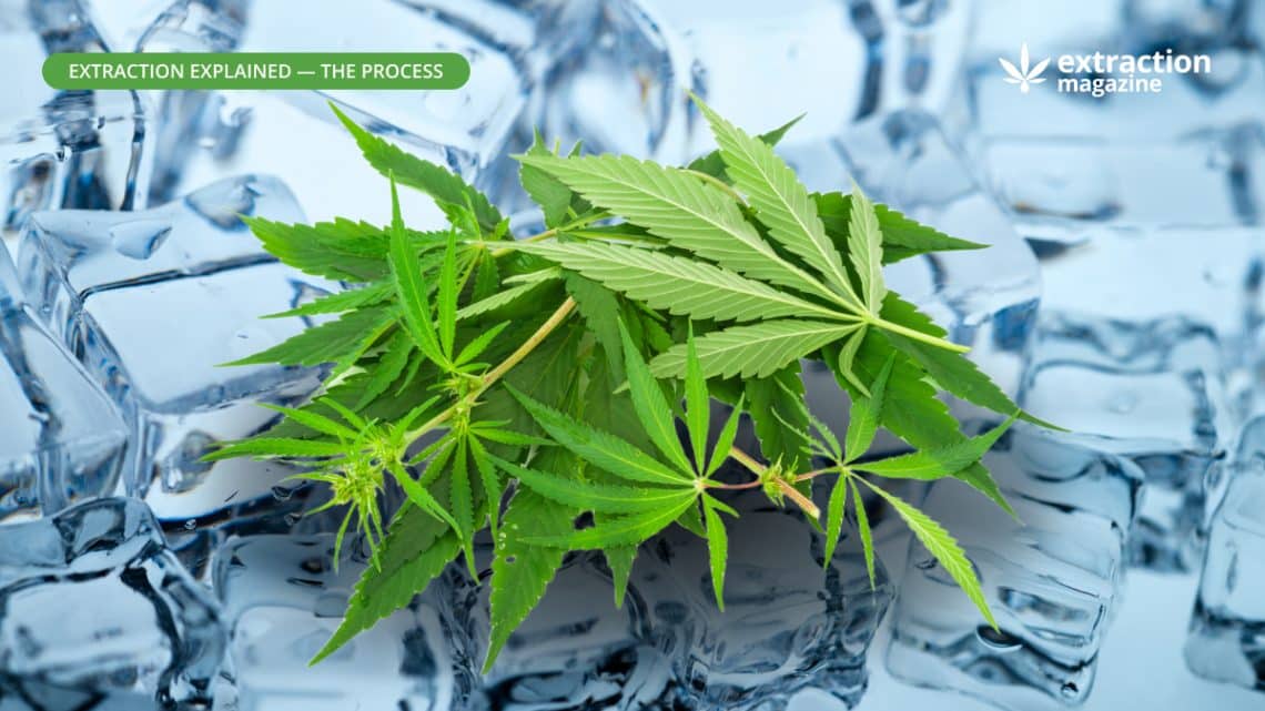 Ice Water Extraction Extraction Magazine