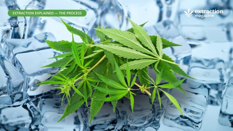 Ice Water Extraction