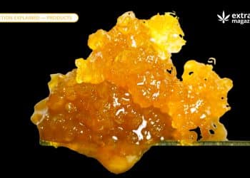 Resin