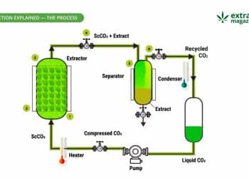 Supercritical Carbon Dioxide Extraction