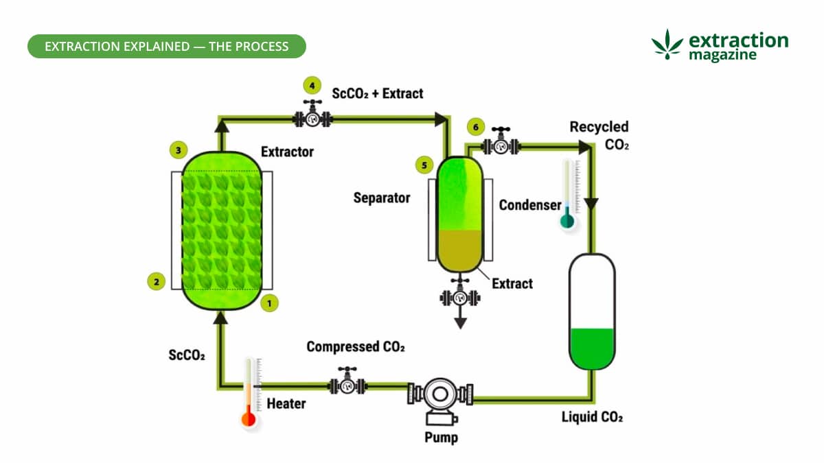 Supercritical Carbon Dioxide Extraction